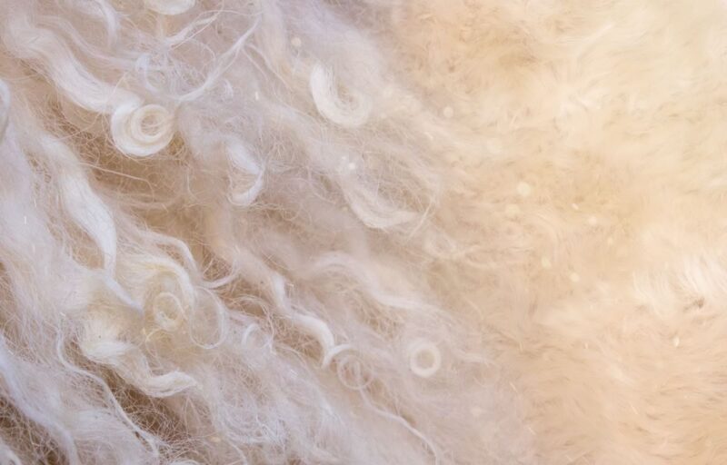 FAQ, Wool's natural qualities are it's best defence! Fibre by Auskin