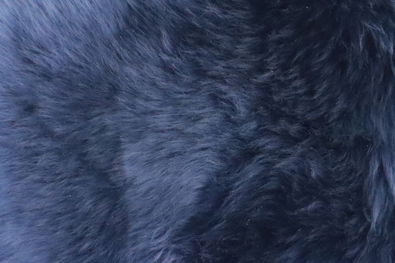 Regal Blue
